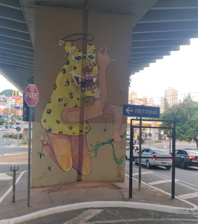 Muro com arte sob o Viaduto Laurão em Campinas